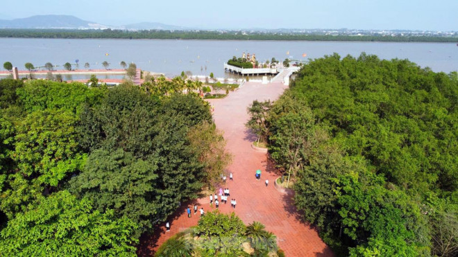 Bãi cọc Cao Quỳ: Chứng tích trận thủy chiến trên sông Bạch Đằng